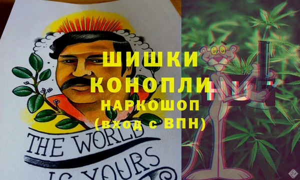 COCAINE Белокуриха