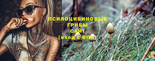 COCAINE Белокуриха