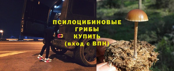 COCAINE Белокуриха